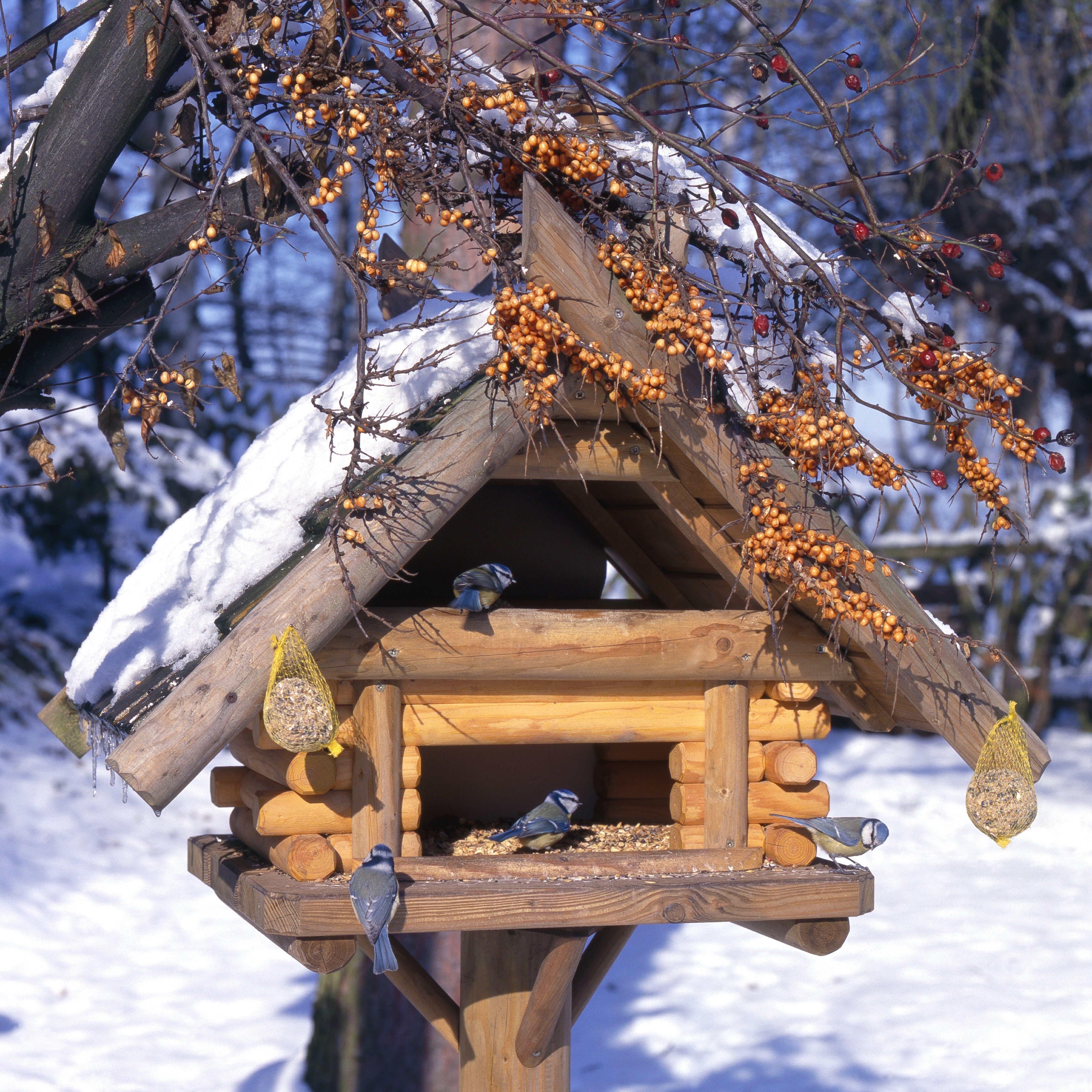 Winterfütterung