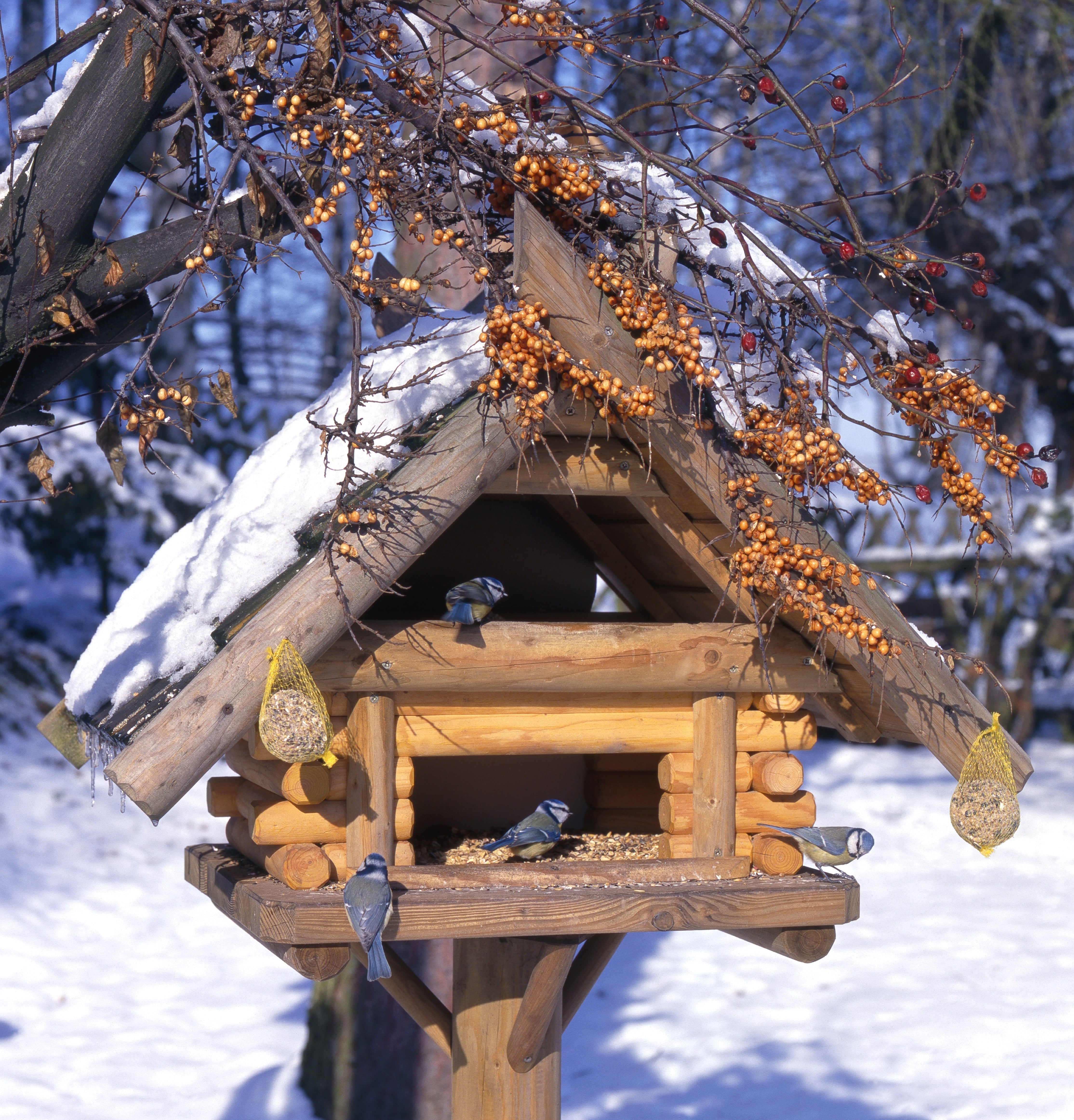 Winterfütterung