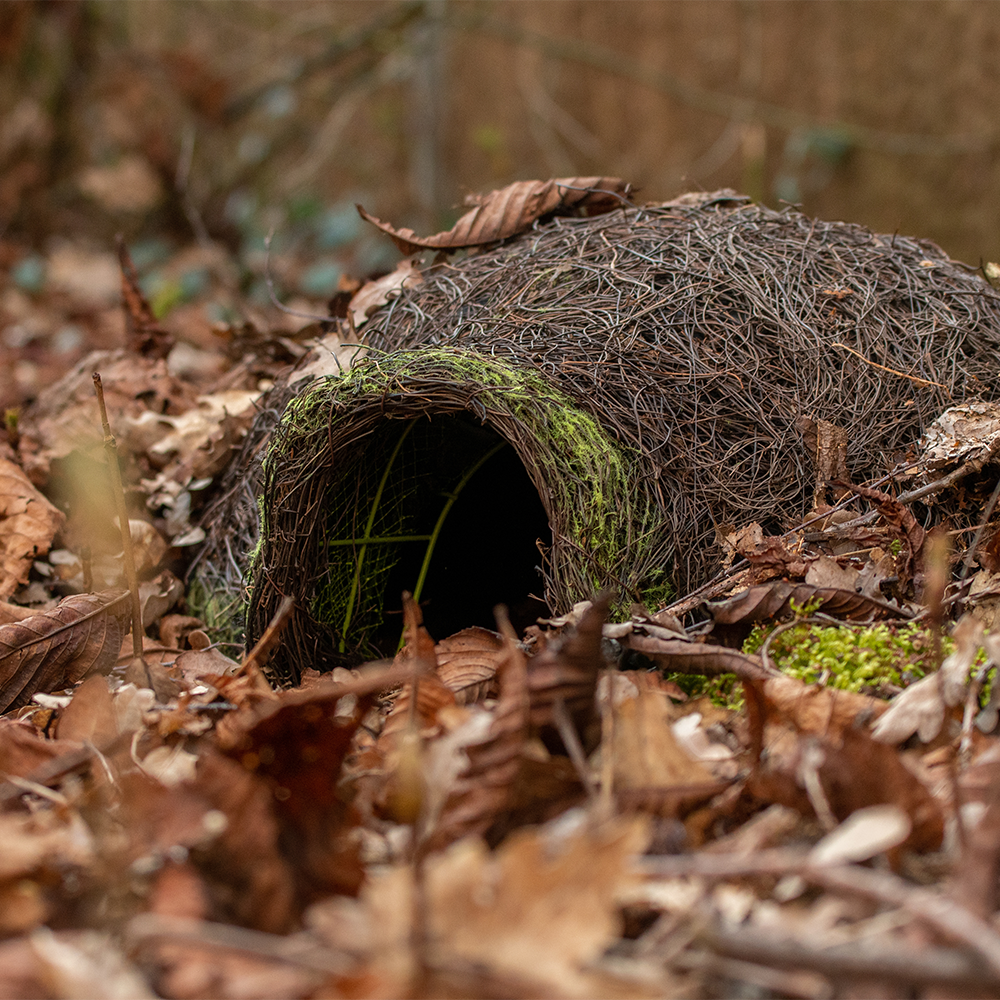 Igel-Haus im Laub