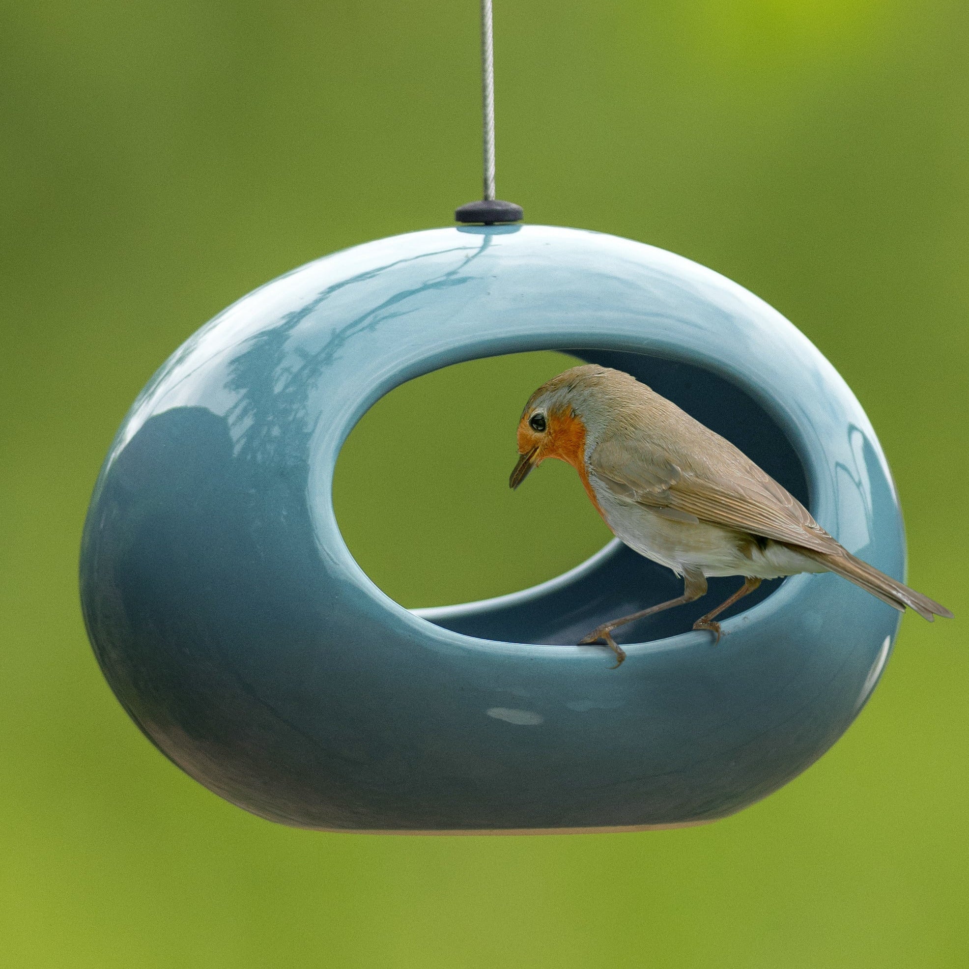 Rotkehlchen in Futterhäuschen