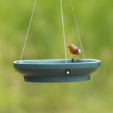 Wasserschale flach